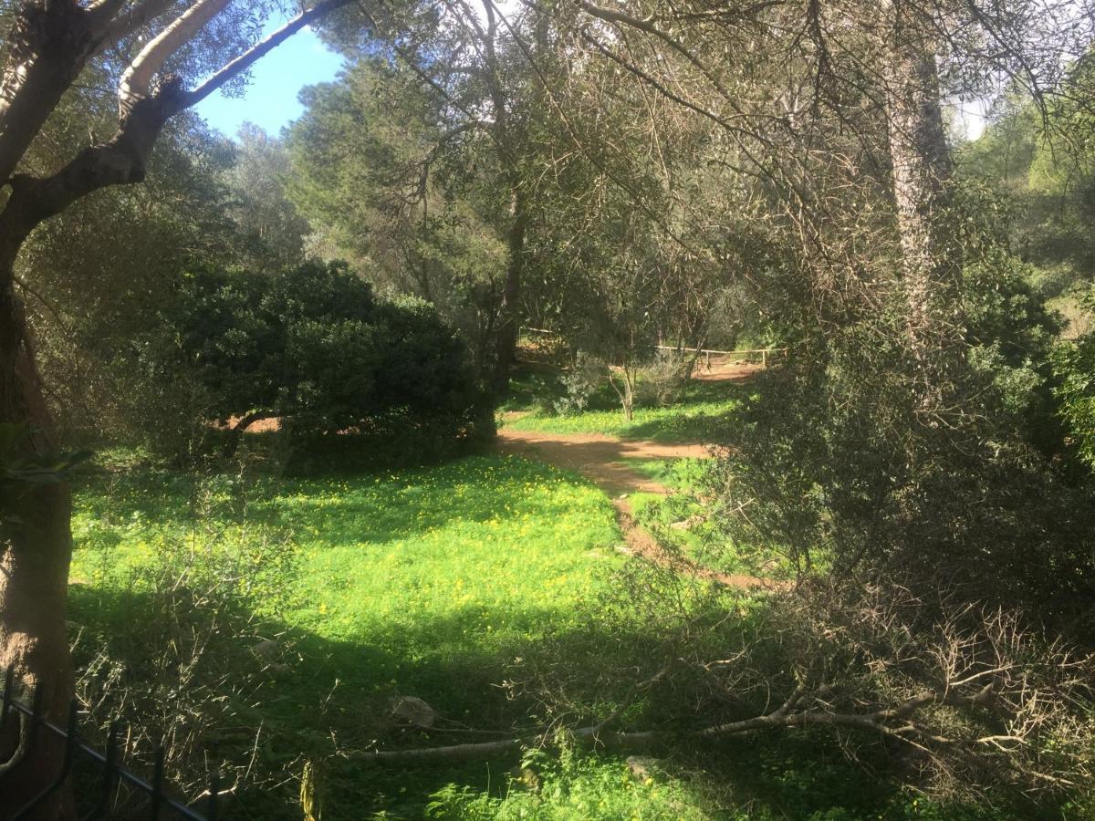 Apartament Carrer Santa Rita Palma de Mallorca